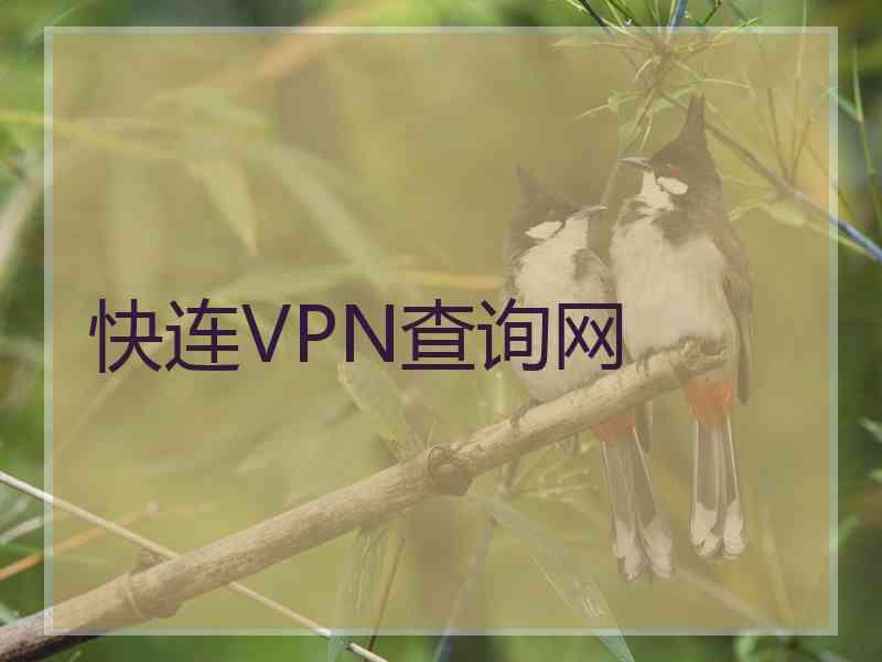 快连VPN查询网