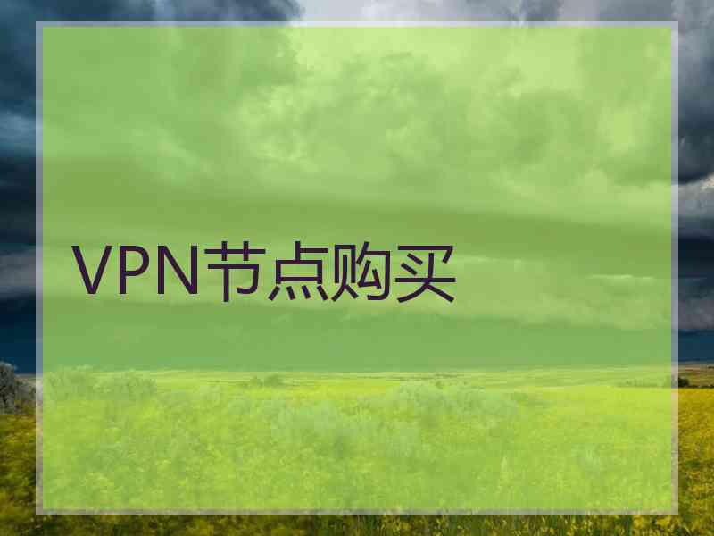 VPN节点购买