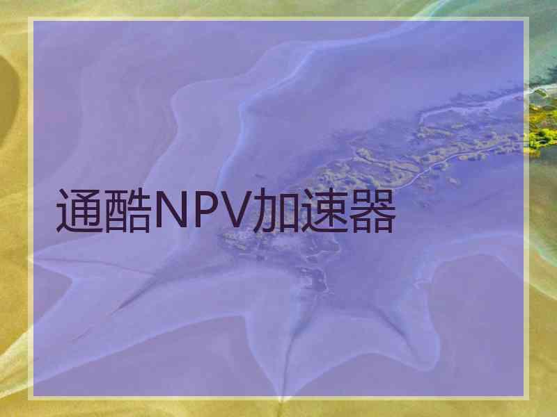 通酷NPV加速器