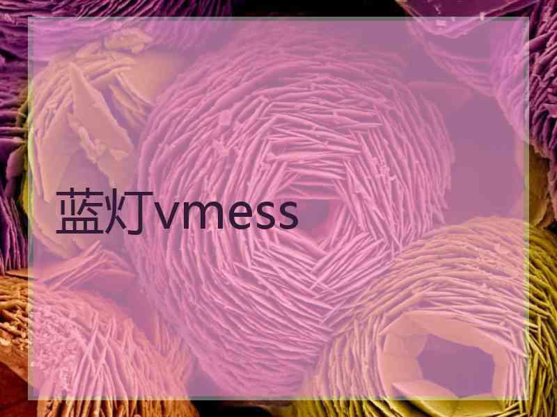 蓝灯vmess