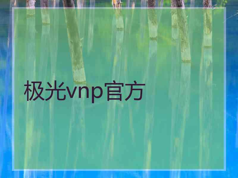 极光vnp官方