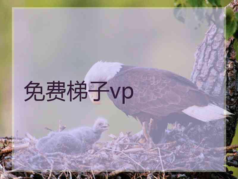 免费梯子vp