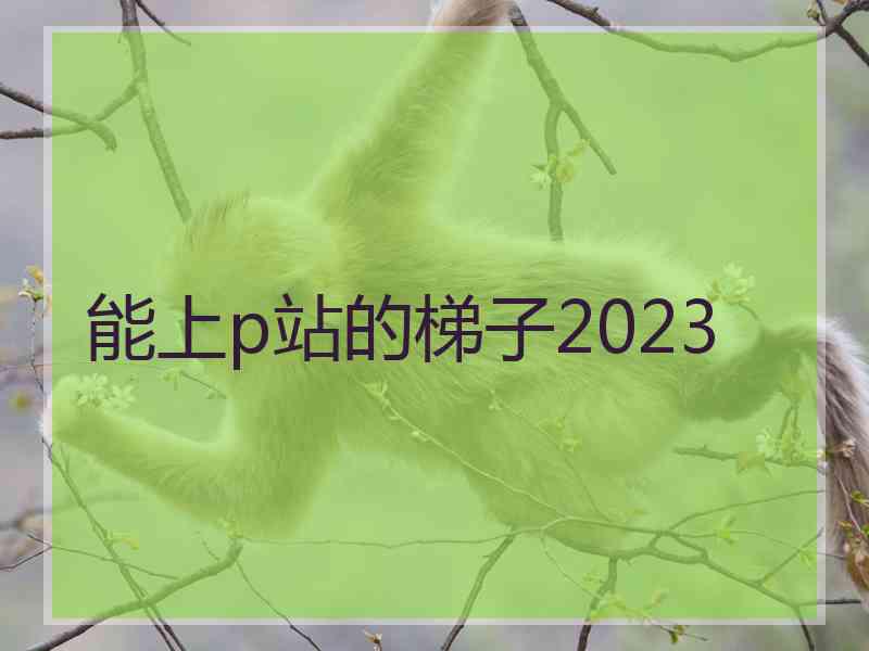 能上p站的梯子2023