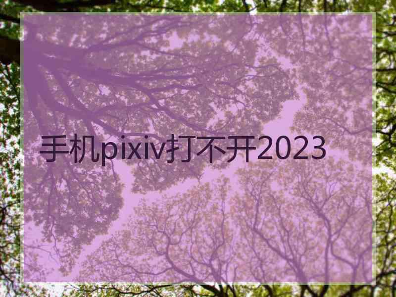 手机pixiv打不开2023