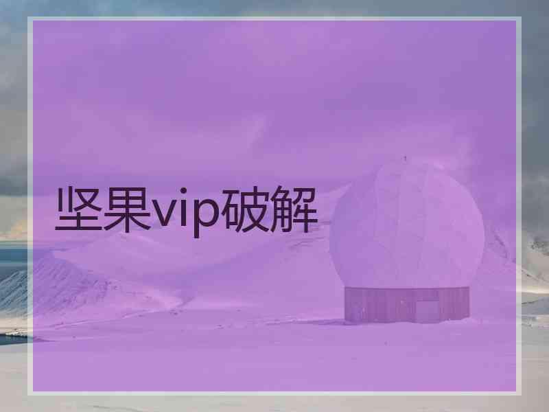 坚果vip破解