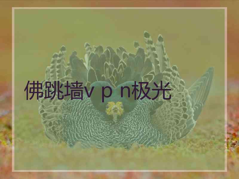 佛跳墙v p n极光