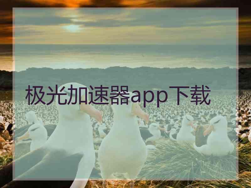 极光加速器app下载