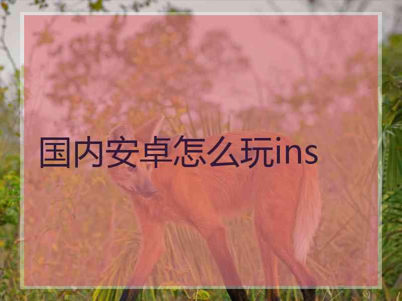 国内安卓怎么玩ins