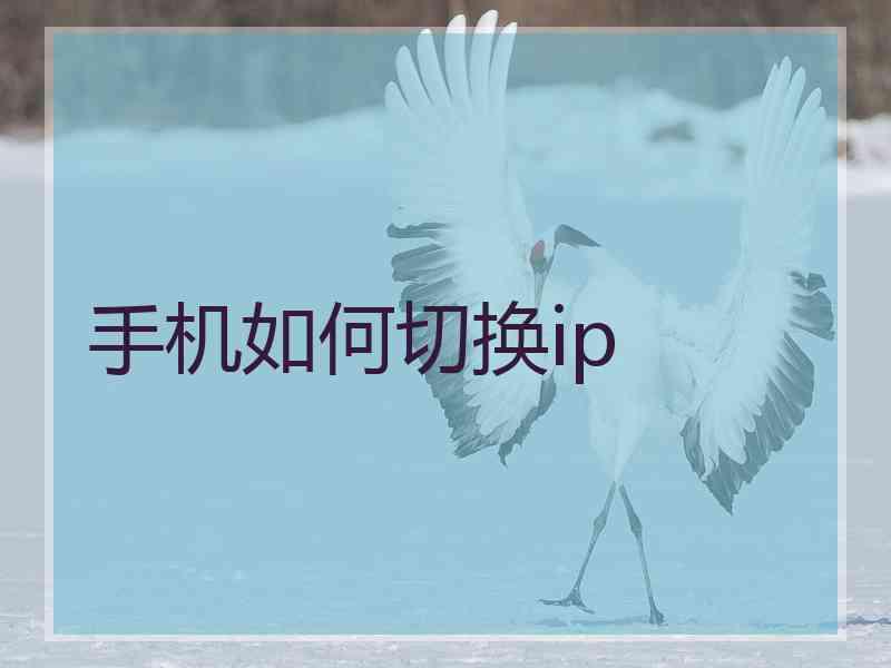 手机如何切换ip