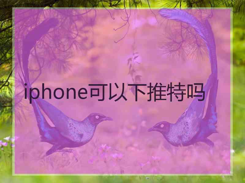 iphone可以下推特吗