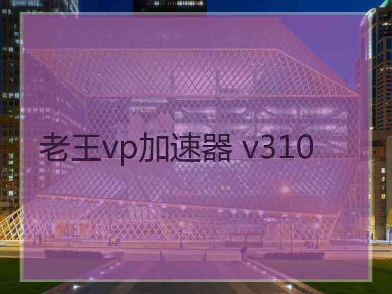 老王vp加速器 v310