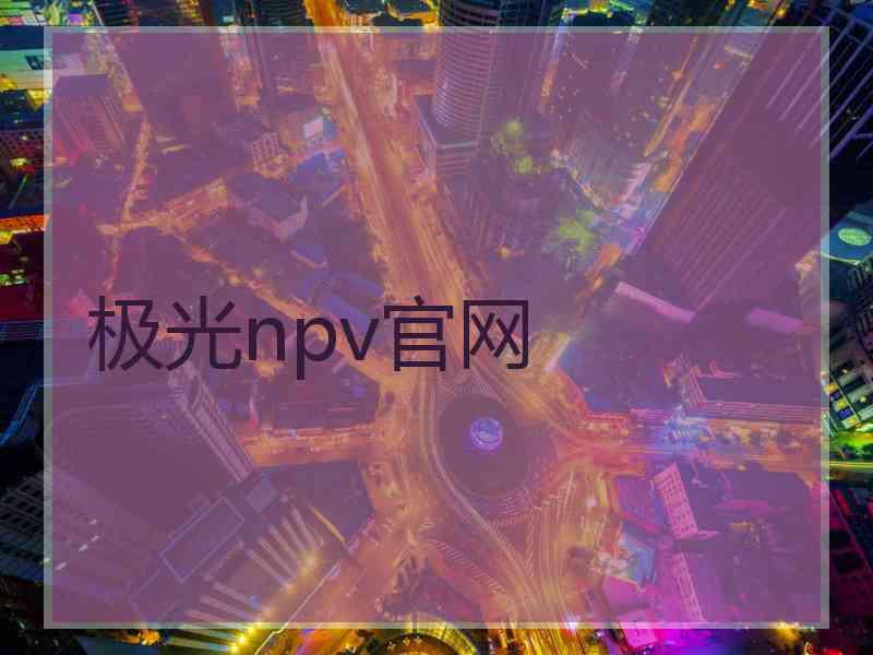 极光npv官网