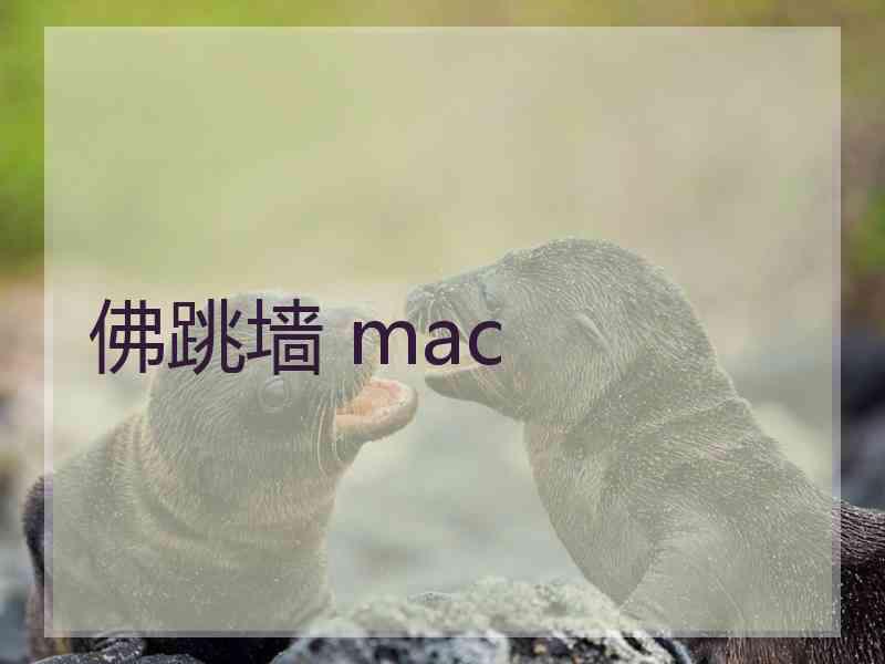 佛跳墙 mac