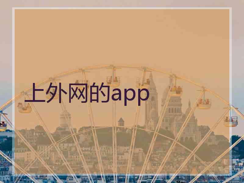 上外网的app