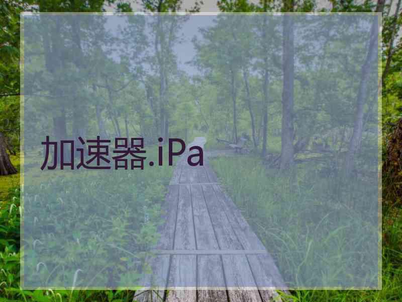 加速器.iPa