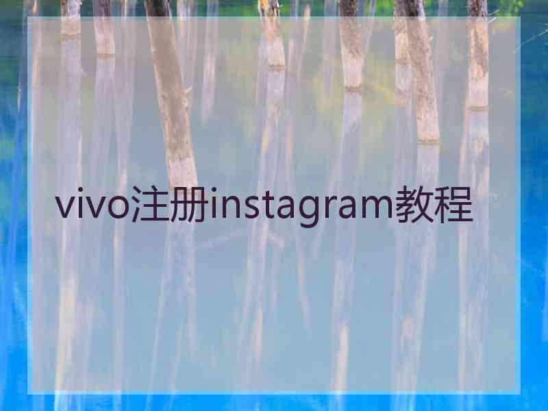 vivo注册instagram教程