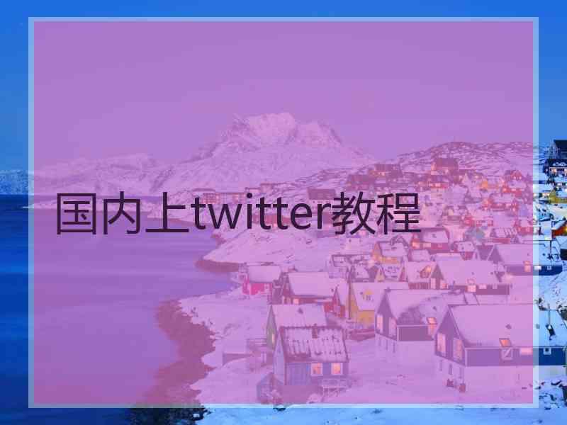 国内上twitter教程