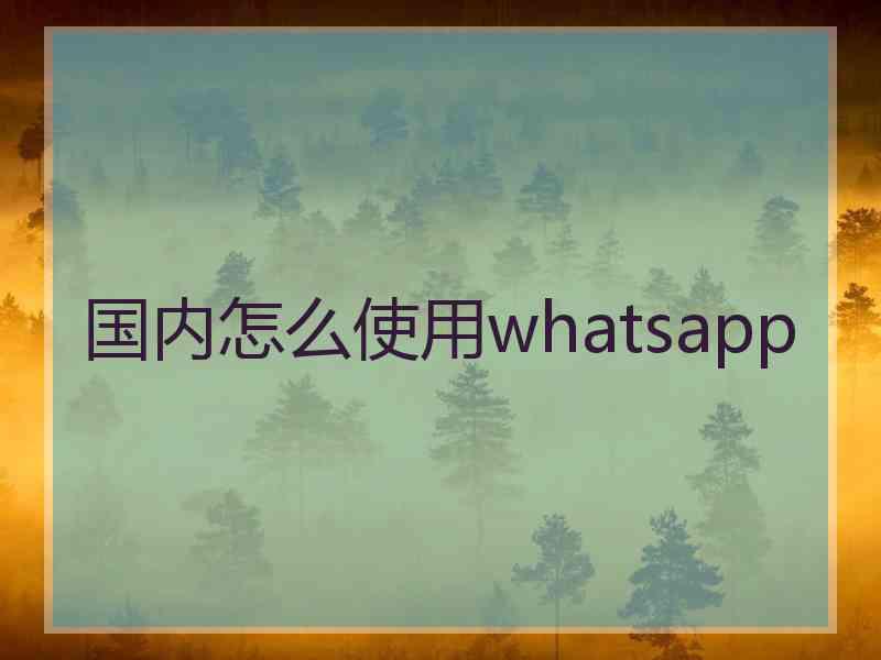 国内怎么使用whatsapp