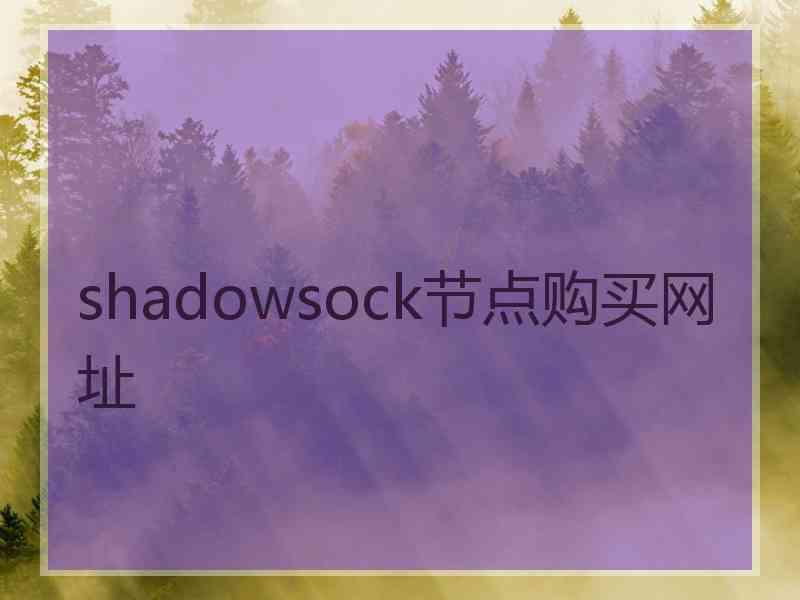 shadowsock节点购买网址