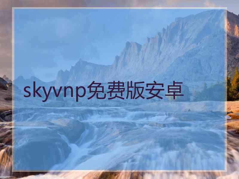 skyvnp免费版安卓