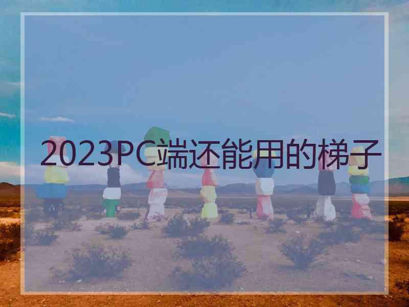 2023PC端还能用的梯子