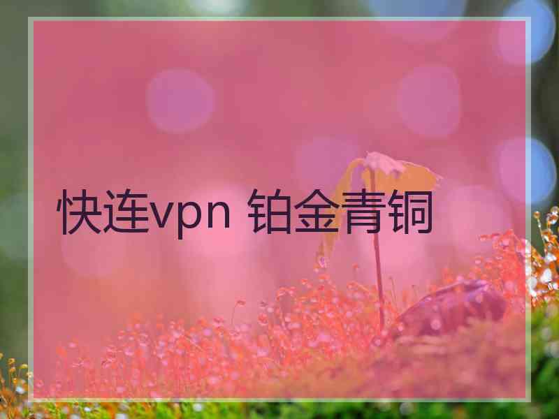 快连vpn 铂金青铜