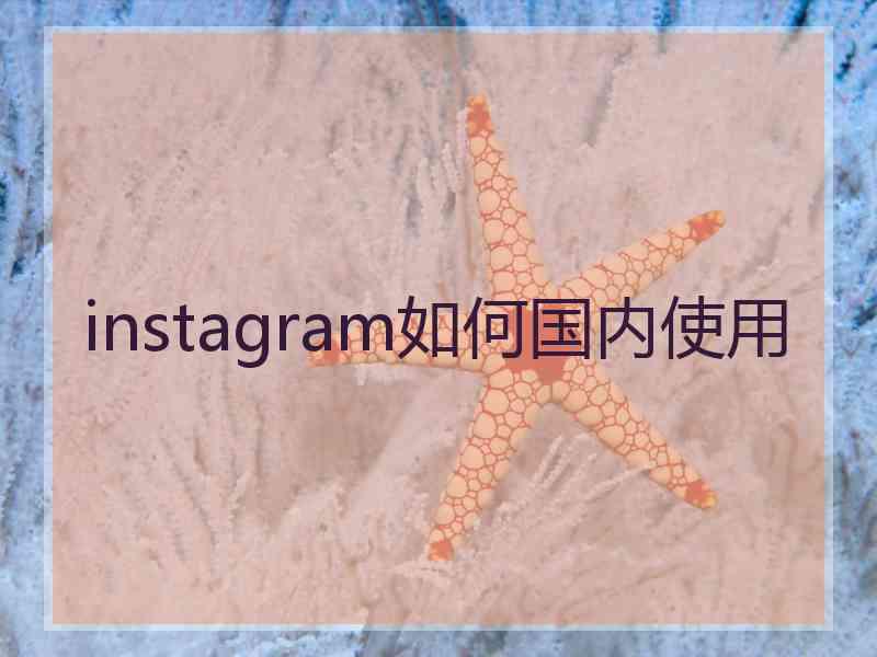 instagram如何国内使用