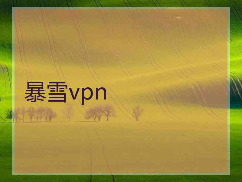 暴雪vpn