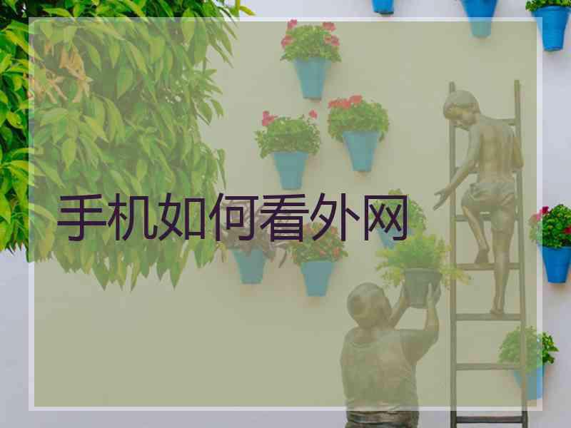 手机如何看外网