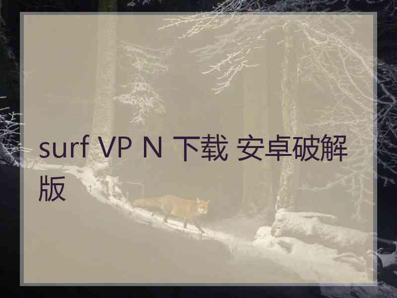 surf VP N 下载 安卓破解版