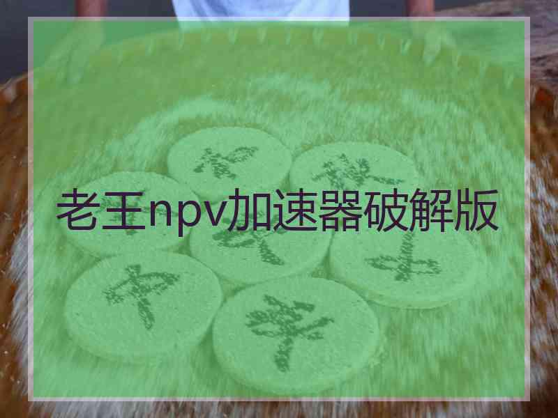 老王npv加速器破解版