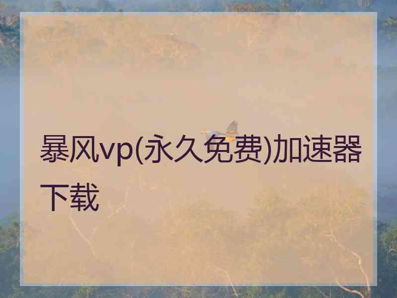 暴风vp(永久免费)加速器下载