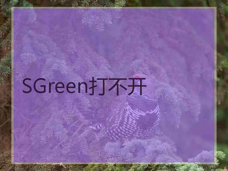 SGreen打不开