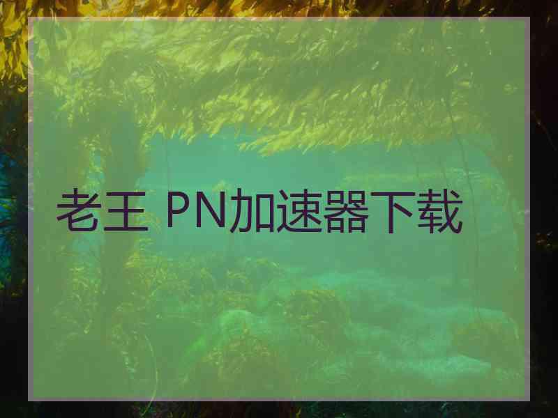 老王 PN加速器下载