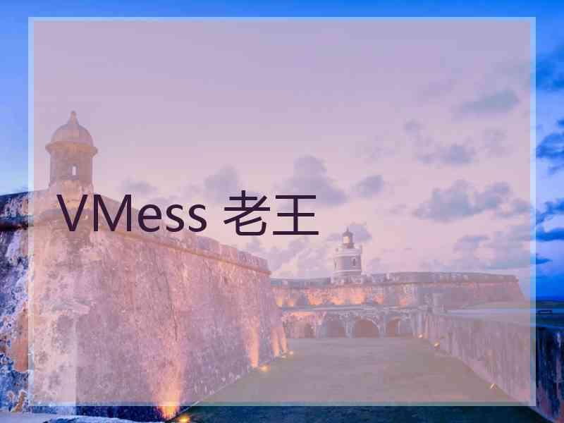 VMess 老王