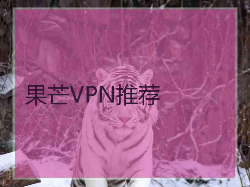 果芒VPN推荐