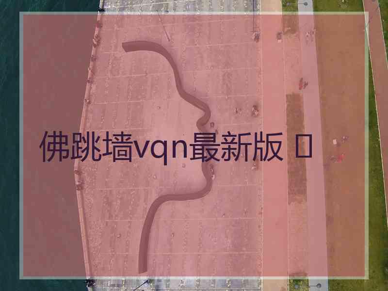 佛跳墙vqn最新版 	