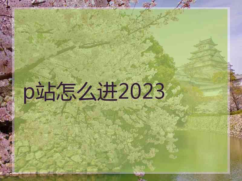 p站怎么进2023