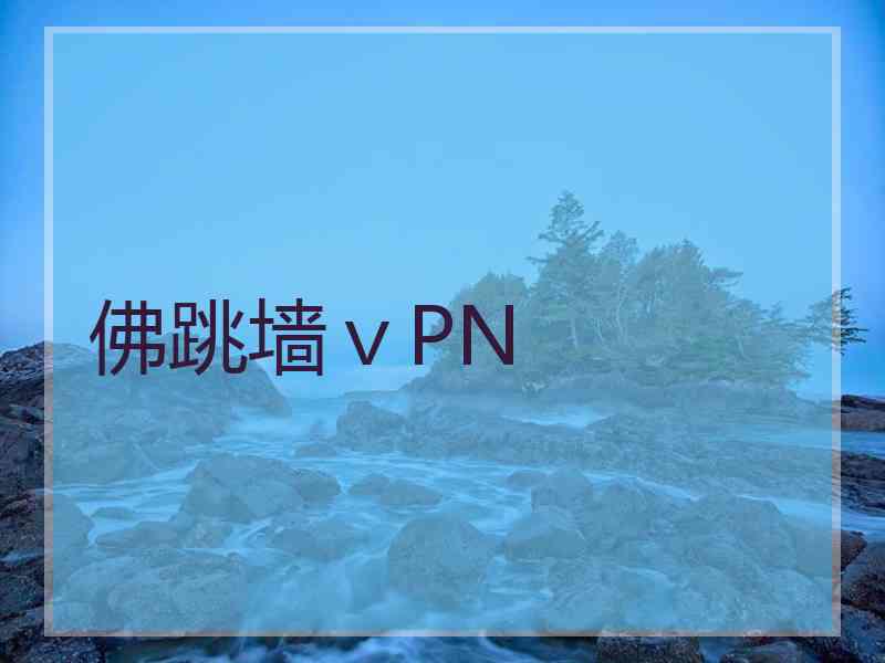 佛跳墙ⅴPN