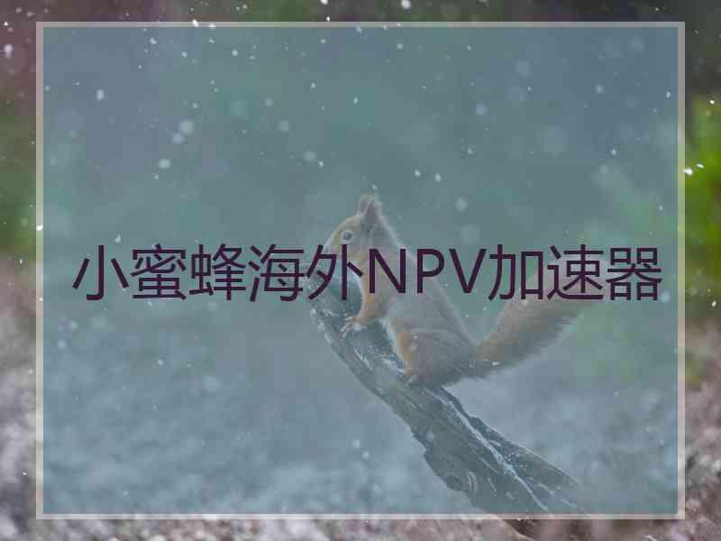 小蜜蜂海外NPV加速器