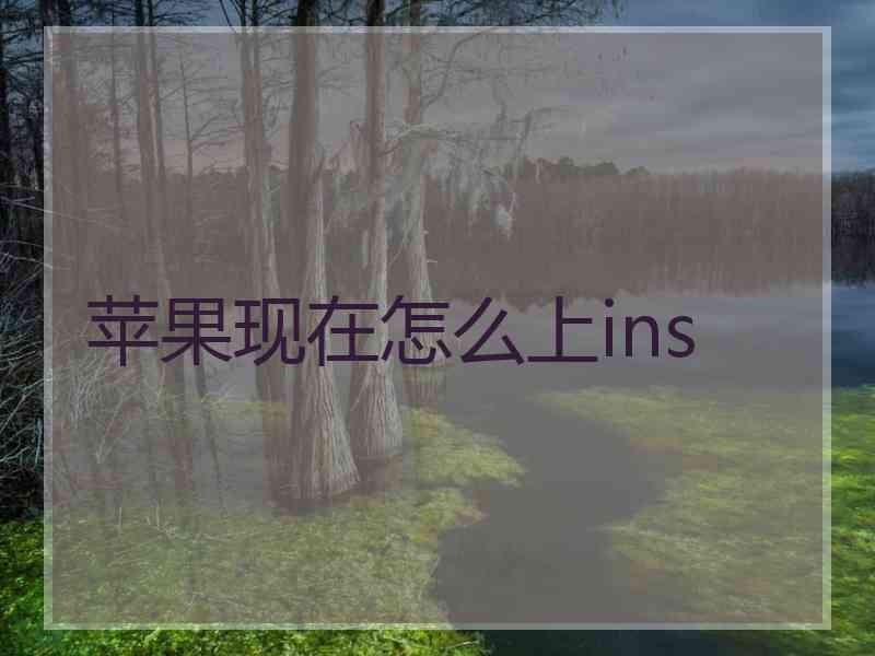 苹果现在怎么上ins