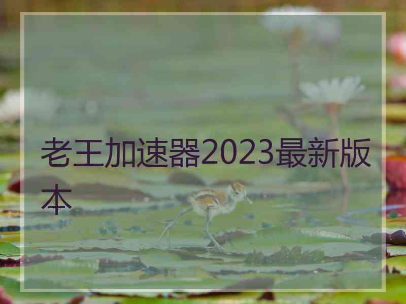 老王加速器2023最新版本