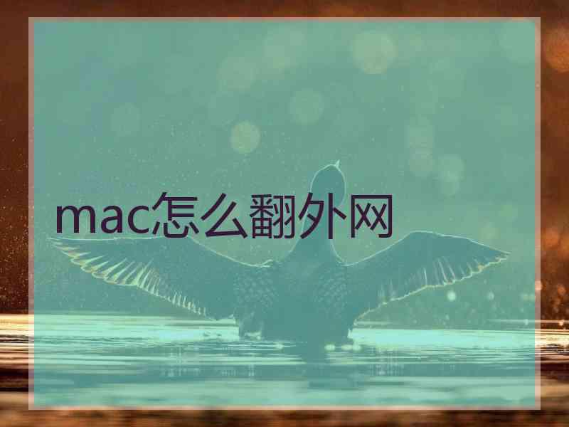 mac怎么翻外网