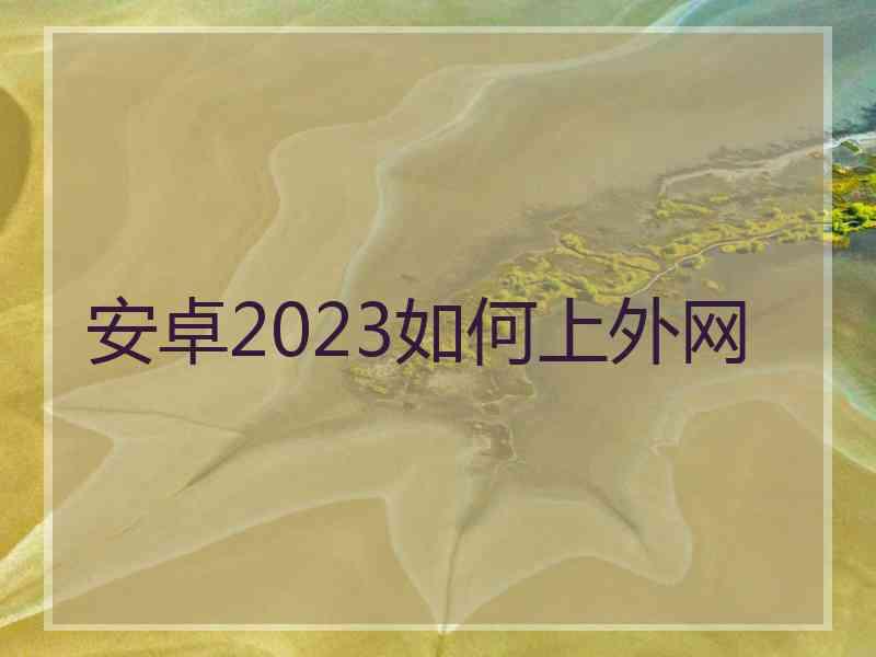 安卓2023如何上外网