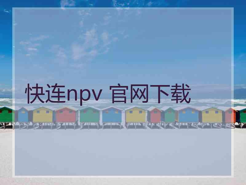 快连npv 官网下载