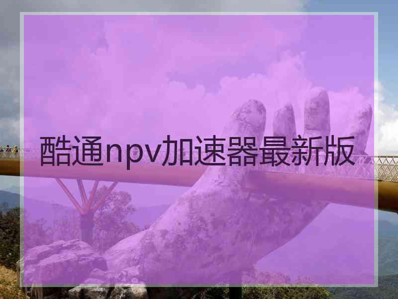 酷通npv加速器最新版