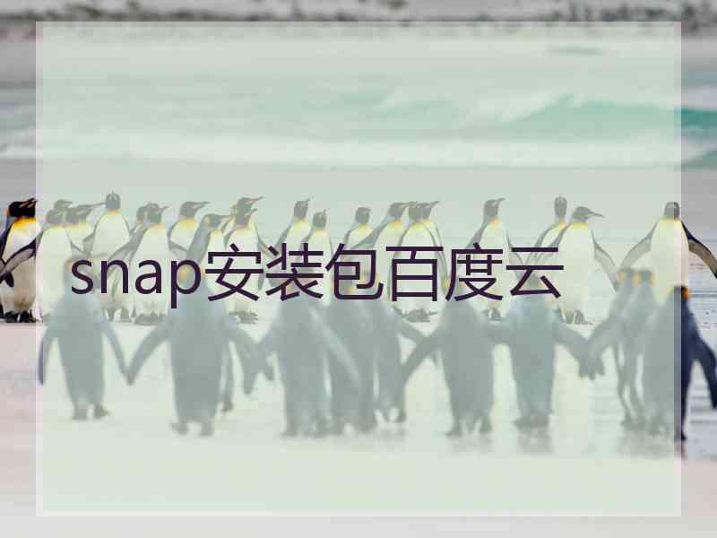 snap安装包百度云