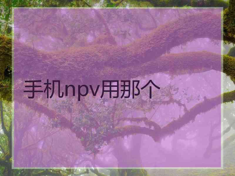 手机npv用那个