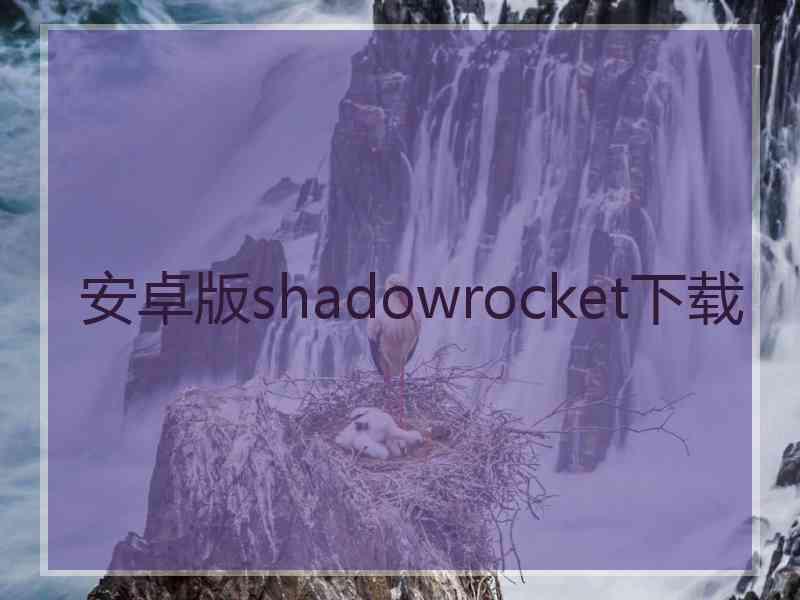 安卓版shadowrocket下载