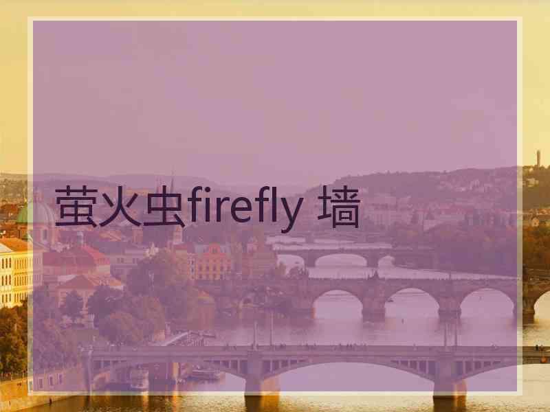 萤火虫firefly 墙